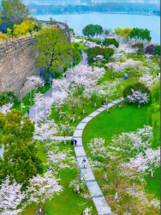 江蘇南京昆蟲公園景區票務管理系統 8 大功能.png