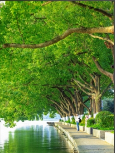 江蘇南京昆蟲公園景區票務管理系統開發公司.png